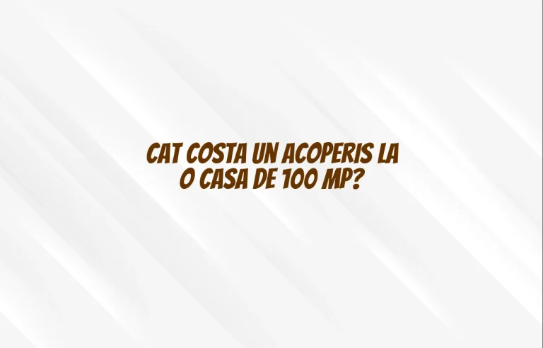 cat costa un acoperis la o casa de 100 mp