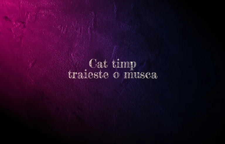 cat timp traieste o musca