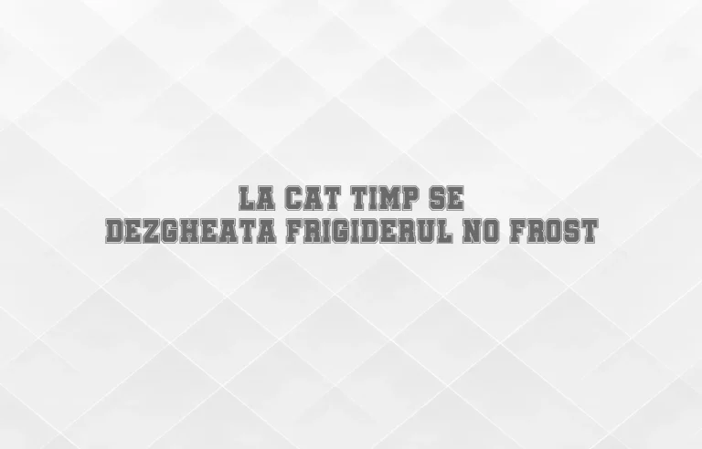 la cat timp se dezgheata frigiderul no frost