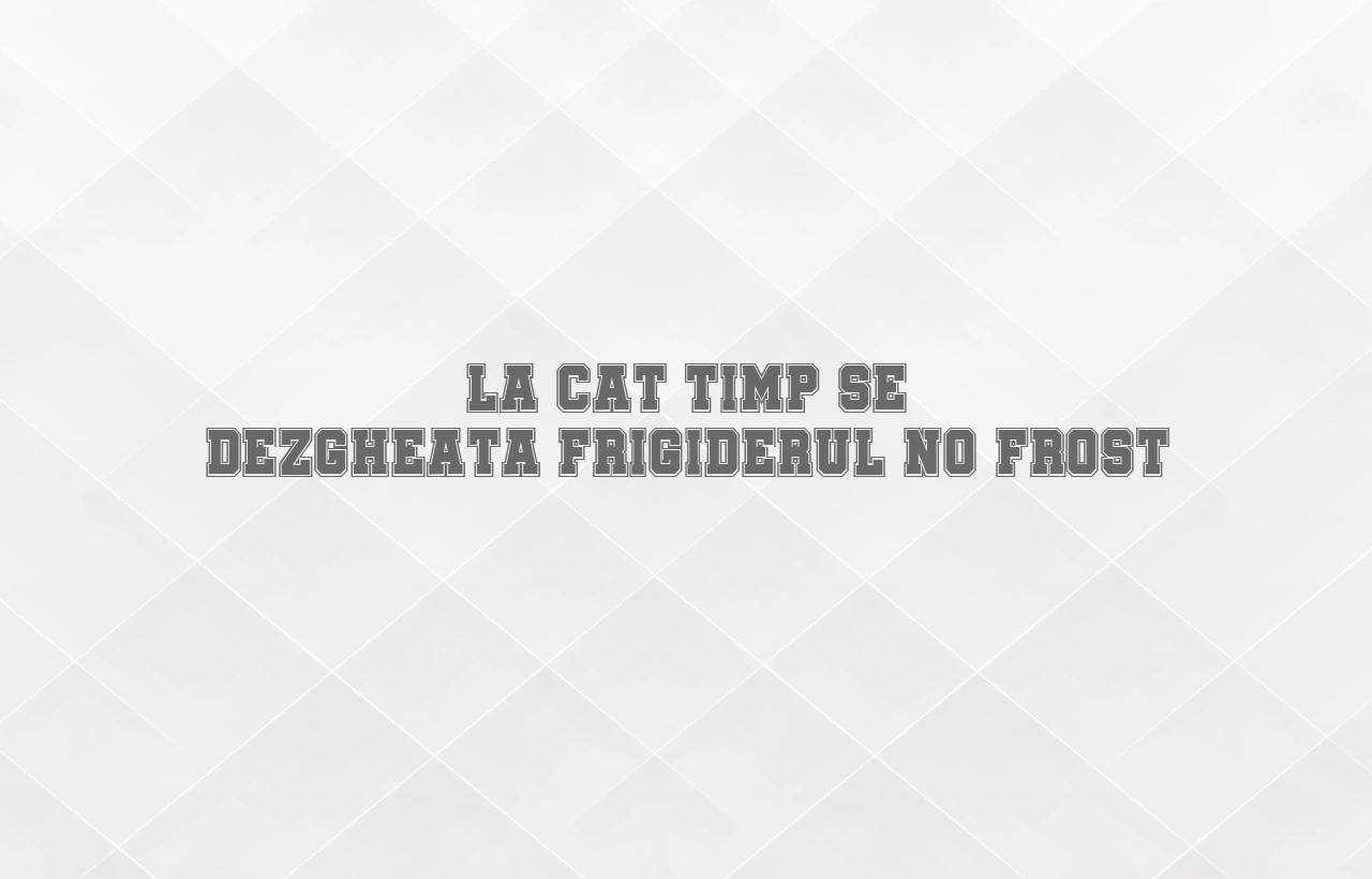 la cat timp se dezgheata frigiderul no frost