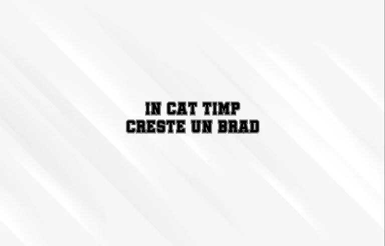in cat timp creste un brad