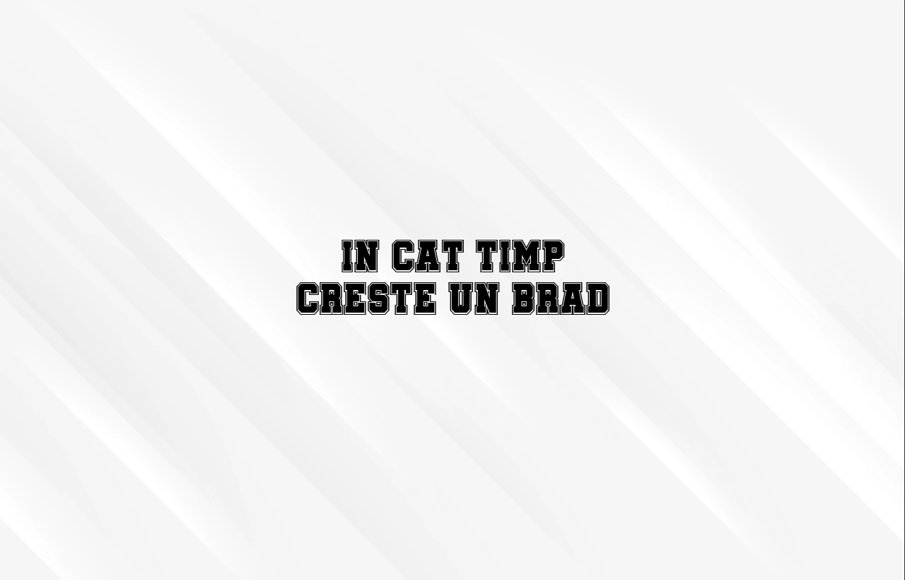 in cat timp creste un brad
