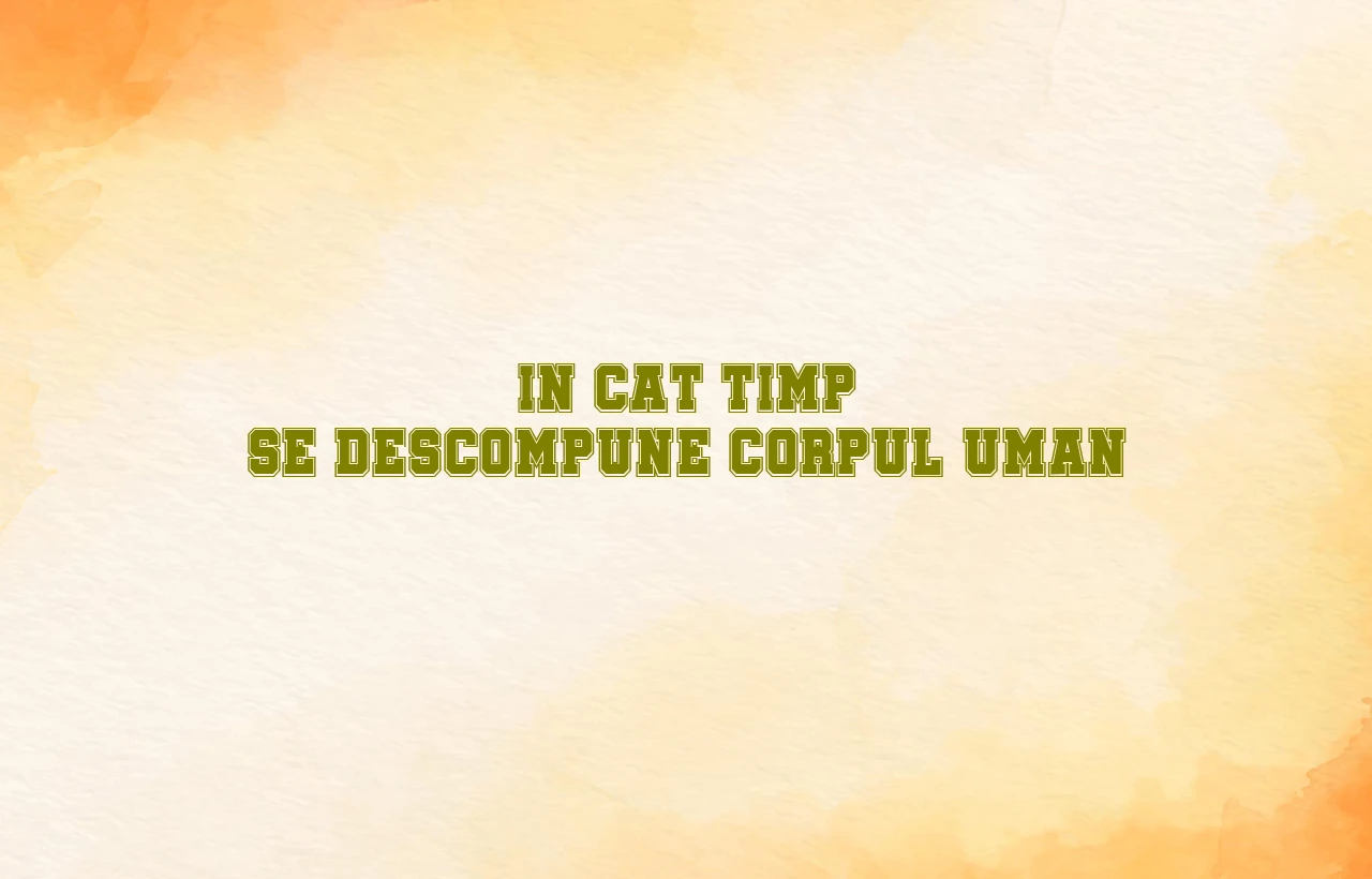 in cat timp se descompune corpul uman