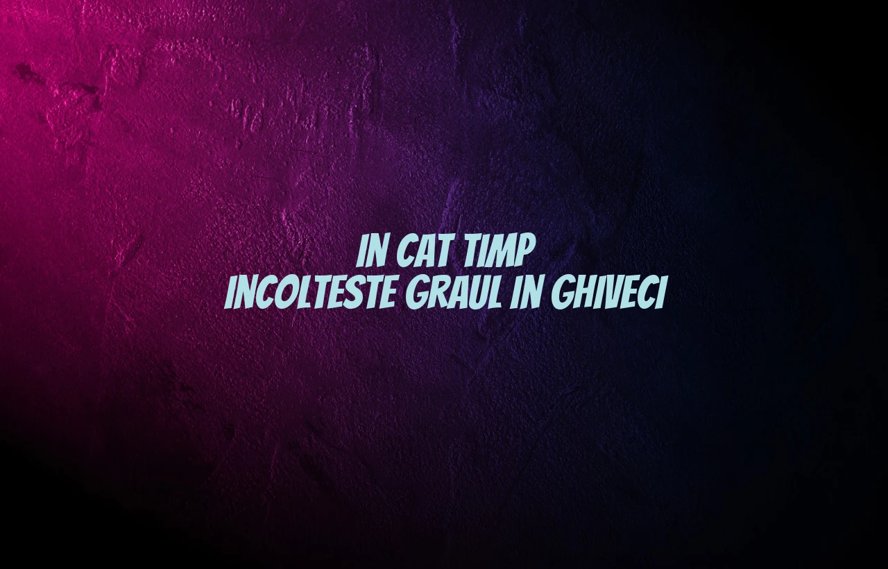 in cat timp incolteste graul in ghiveci