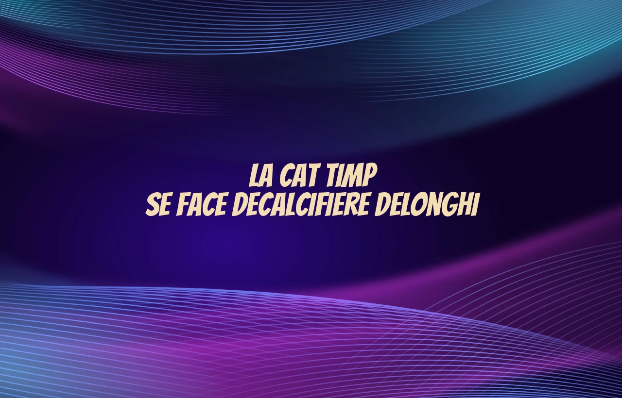 la cat timp se face decalcifiere delonghi