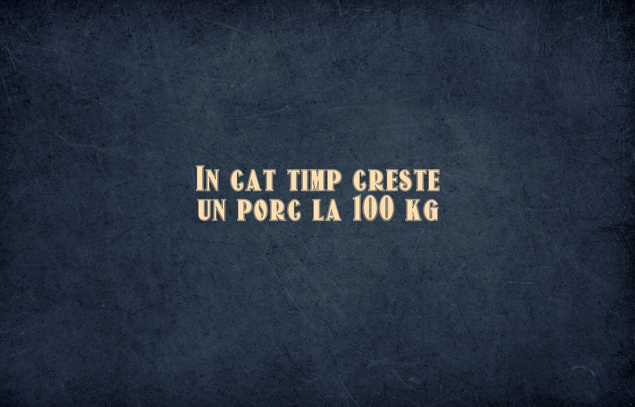 in cat timp creste un porc la 100 kg