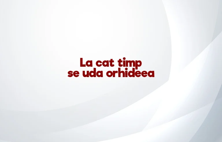 la cat timp se uda orhideea