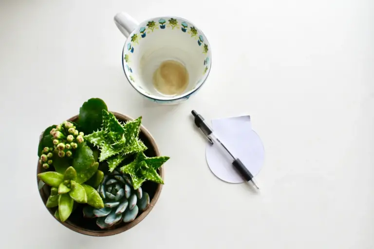 sidney m hnve5cyhelo unsplash